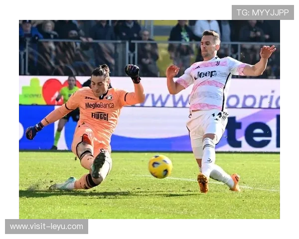 围绕弗罗西诺内俱乐部崛起与意甲征程的深度观察历史传承与未来蓝图探索