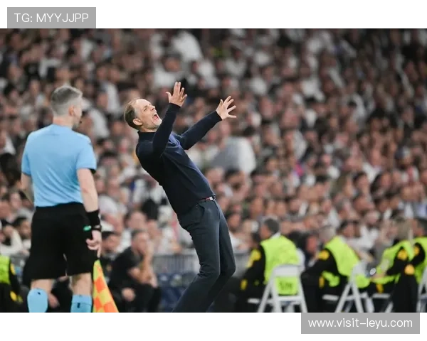 德甲新赛季开幕，拜仁慕尼黑再度冲击冠军，沙尔克04面临保级压力